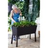 gryadka easy growing 1