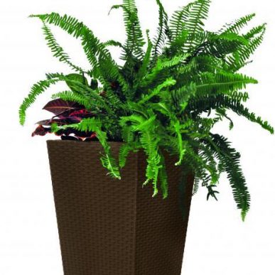 product 5515