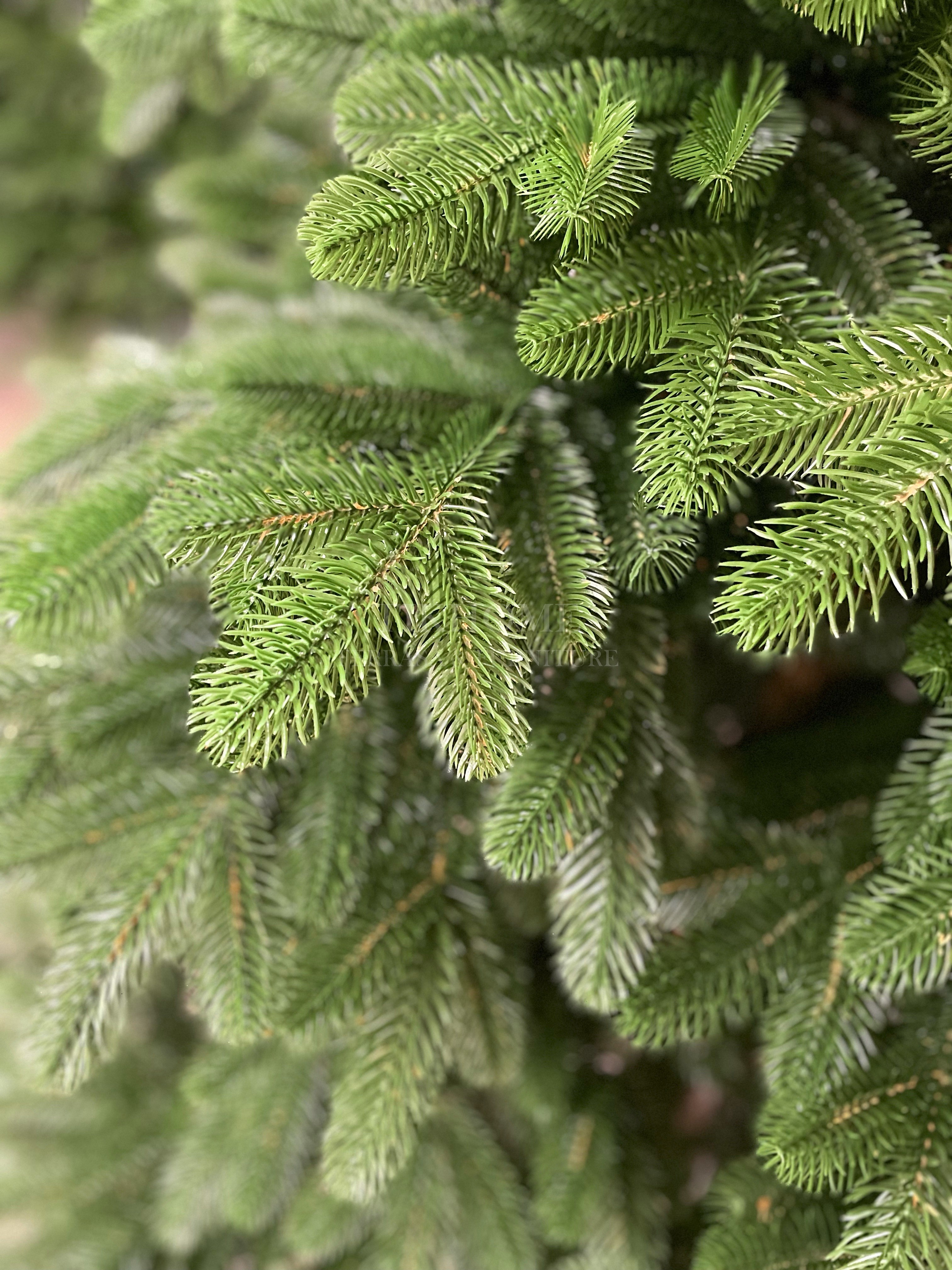 image9 1 image9 1