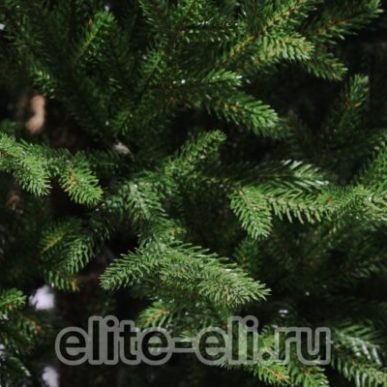 image 02 11 23 05 03 2 600x400